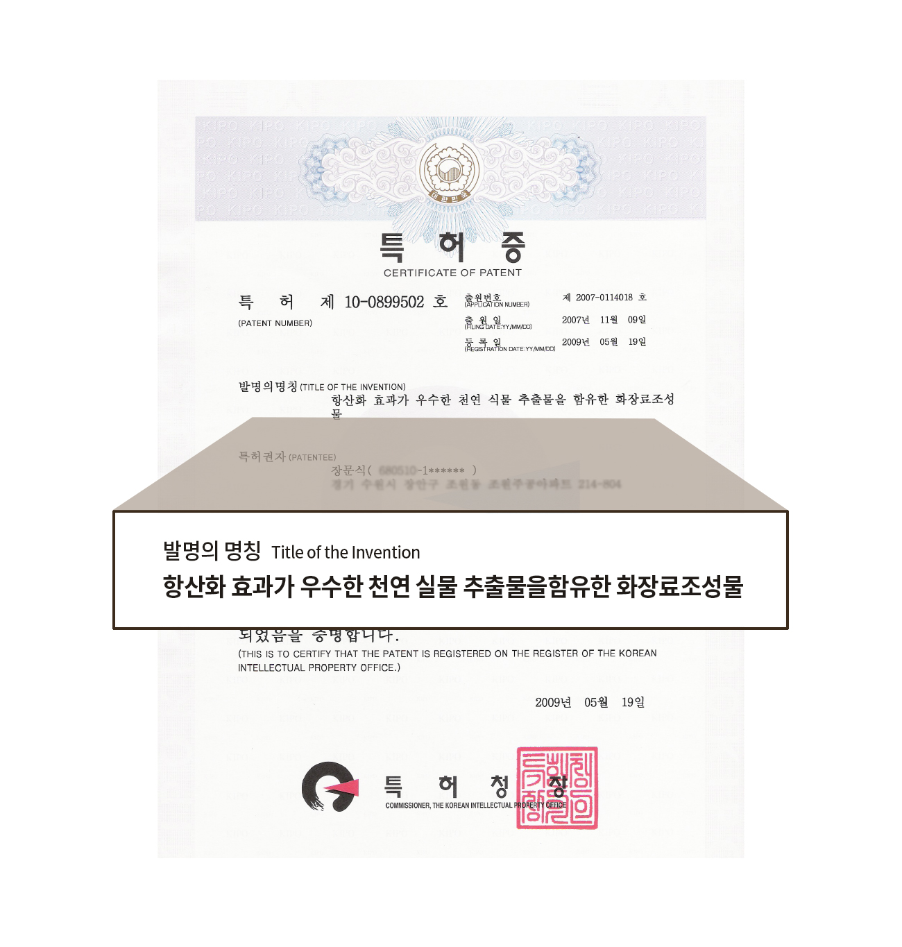 데일리 마일드 선 프로텍터 SPF50+ PA++++ 50ml detail 7