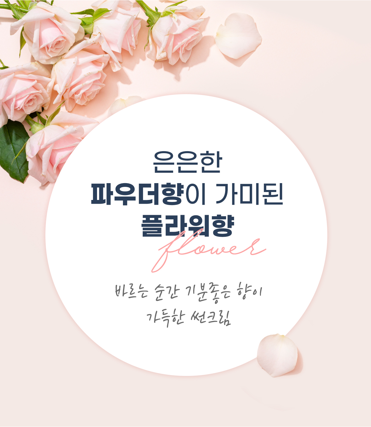 데일리 마일드 선 프로텍터 SPF50+ PA++++ 50ml detail 9
